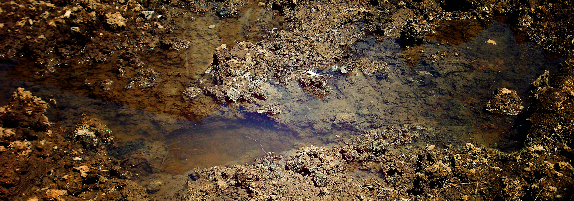 有限会社互幸基礎工業